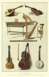 Musical Instruments