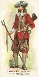 Musquetteer