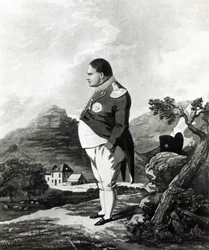 Napoleon on the Island of St. Helena