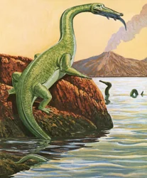 Nathosaurus Having a Meal