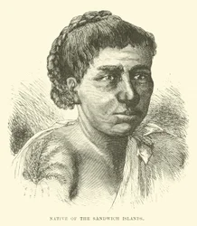 Native of the Sandwich Islands