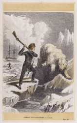 Nelson encountering a bear