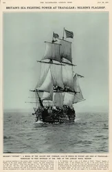 Nelson