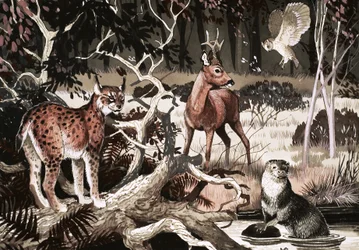 Night Time at the Water Hole