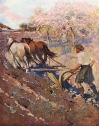 Ontario, a Glengarry Settler