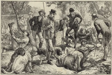 Otter hunting in the north