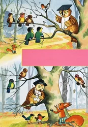 Owl teaching other birds