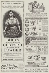 Page of Advertisements