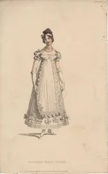 Parisian ball dress