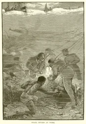 Pearl Divers at Work