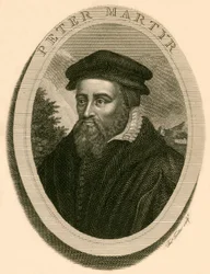 Peter Martyr