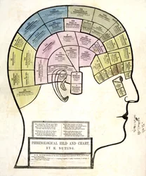Phrenological Head and Chart, pub. 1857