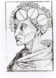 Phrenology
