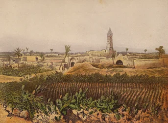 Places Mentioned in the Bible: Gaza, The Old Town