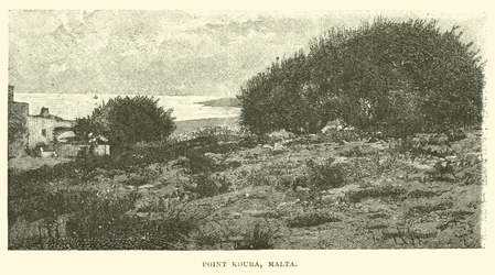 Point Koura, Malta