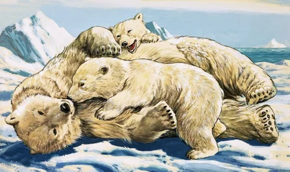 Polar Bear and Cubs