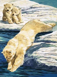 Polar Bear and Cubs