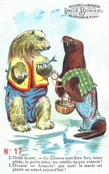 Polar Bear and Seal