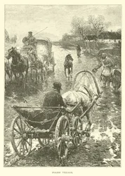 Polish Village