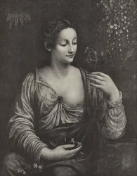 Portrait of a Young Lady