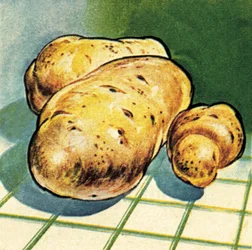 Potatoes