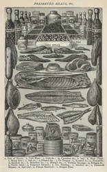 Preserved Meats, from Beeton