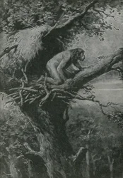 Probably Arboreal - Pictured by R L S