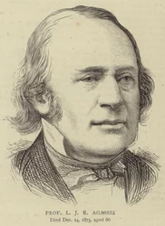 Professor L J R Agassiz