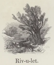 Rivulet