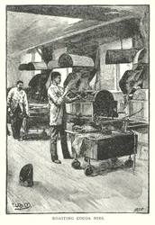 Roasting Cocoa Nibs