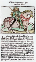 Robin Hood (later coloration)