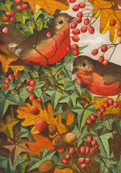 Robins