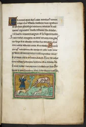 A wolf with blood coming out of its mouth, and a hunter with dogs, from the Rochester Bestiary