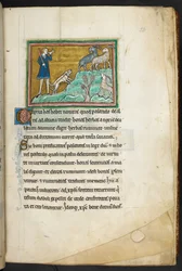 A hunter or farmer with dogs, pursuing goats, from Bestiary, Lapidary