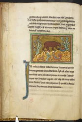 A bear looking at cubs, from Bestiary, Lapidary