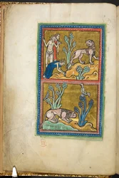 Three men, with one of them bowing to a lion; below: a lion crouched at the foot of a tree, with a rooster sitting on top, from Bestiary, Lapidary, 2nd quarter of the 13th century