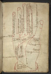 Reading the hands, in a medieval miscellany
