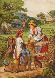 Rustic Scene