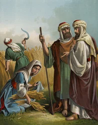 Ruth gleaning in the field of Boaz