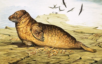 Seal
