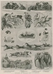 Sketches at Barnum