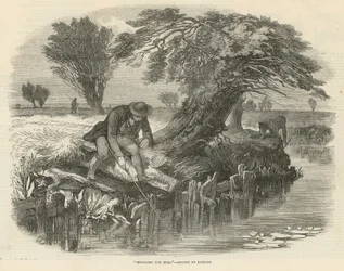 Sniggling for Eels