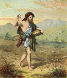 Sowing the Seed