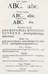Specimen Typefaces