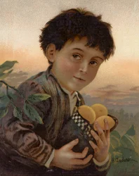 Stolen Fruit