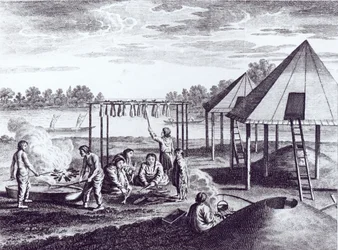 Summer Huts