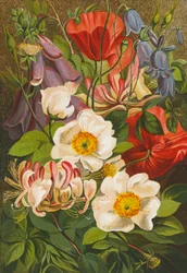 Summer Flowers