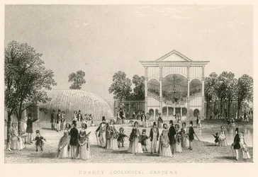 Surrey Zoological Gardens, Kennington, London: The New Orchestra