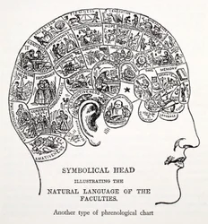 Symbolical Head