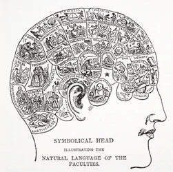 Symbolical Head Showing the Natural Language of the Faculties